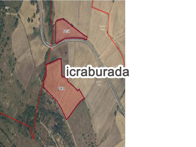 icralık  m2 Tarla Samsun Kavak Divanbaşi