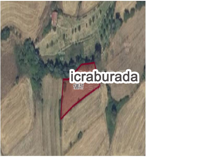 icralık  m2 Tarla Samsun Kavak Divanbaşi