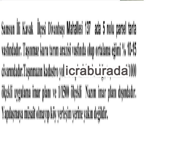icralık  m2 Tarla Samsun Kavak Divanbaşi