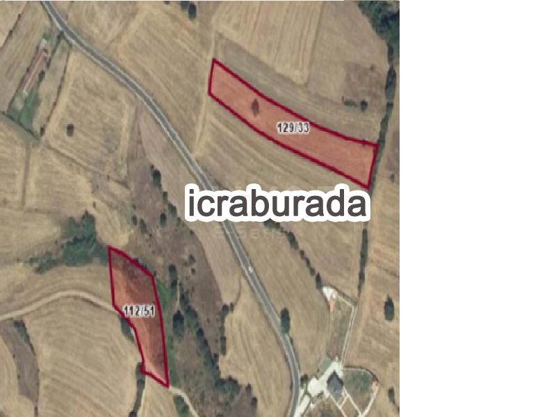 icralık  m2 Tarla Samsun Kavak Divanbaşi