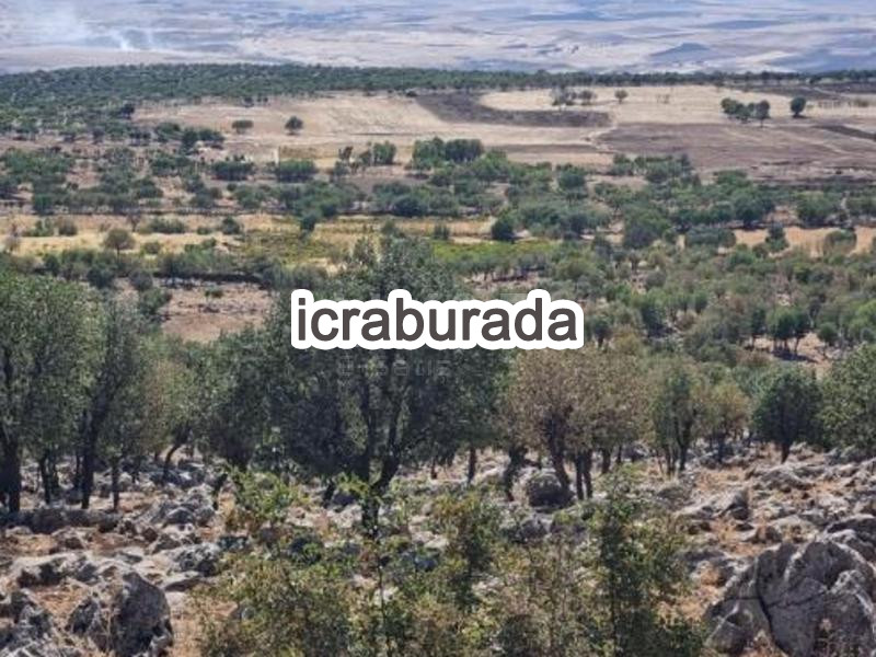 icralık  m2 Tarla Diyarbakır Hazro Bağyurdu