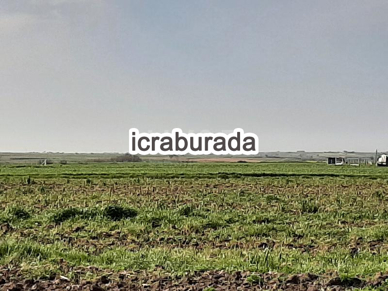 icralık  m2 Bag Tekirdağ Saray Yuvali