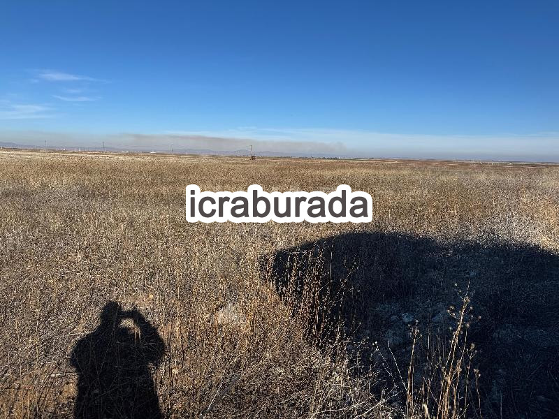 icralık  m2 Tarla Eskişehir Seyitgazi Değişören
