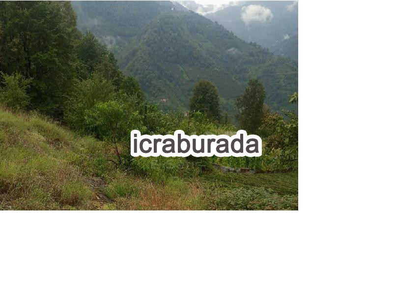 icralık  m2 Diger Artvin Borçka Güneşli