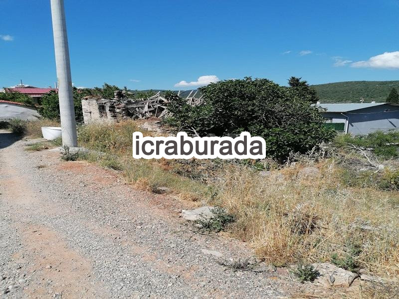 icralık  m2 Kargir İzmir Urla Zeytineli