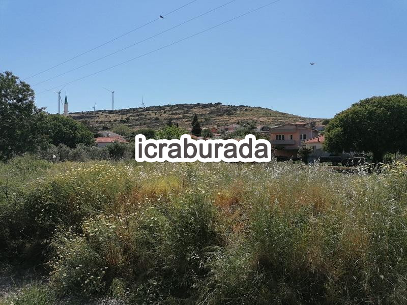 icralık  m2 Tarla İzmir Urla Zeytineli