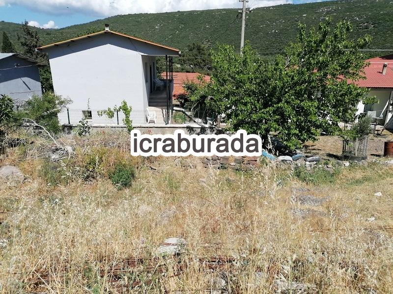 icralık  m2 Kargir İzmir Urla Zeytineli