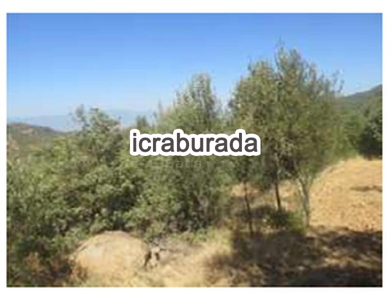icralık  m2 Diger Balıkesir Burhaniye Avunduk