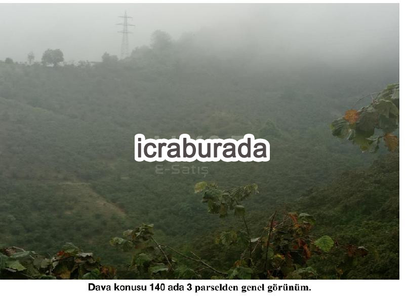 icralık  m2 Diger Giresun Tirebolu Çeğel