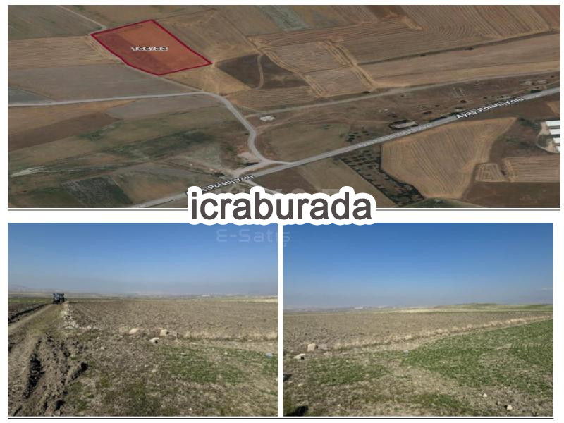 icralık  m2 Tarla Ankara Ayaş Sinanli Hocasinan