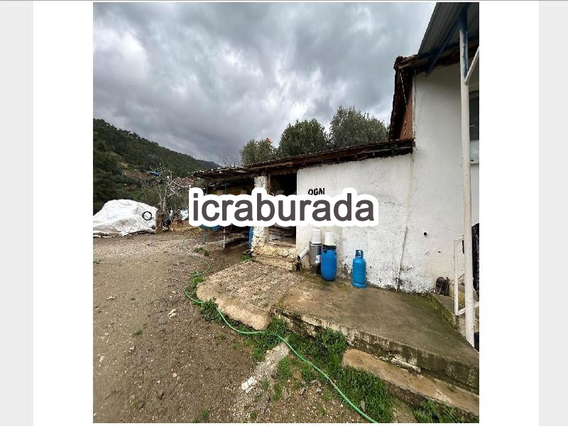 icralık  m2 Diger Aydın Kuyucak Kurtuluş