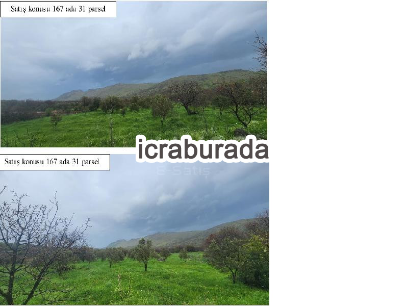 icralık  m2 Tarla İzmir Aliağa Karakuzu