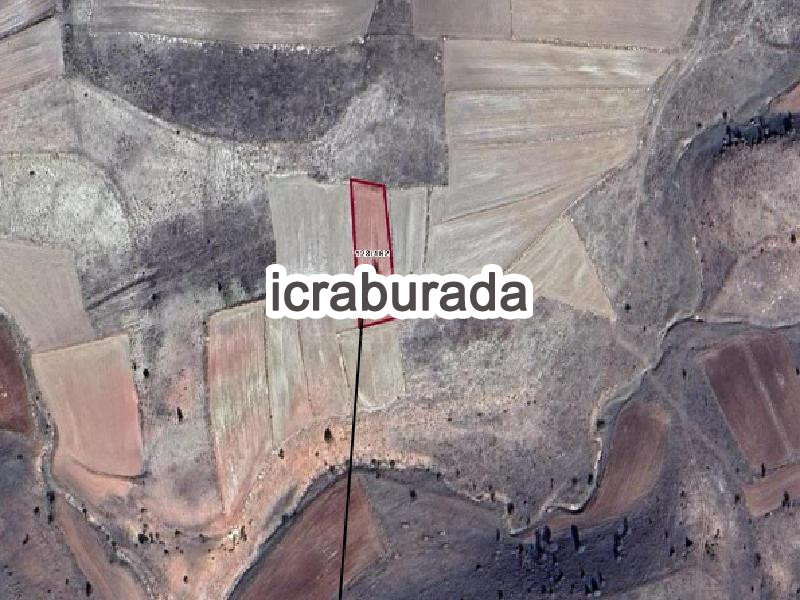 icralık  m2 Tarla Kütahya Merkez Işikkara