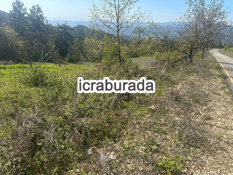 icralık  m2 Tarla Bilecik Gölpazarı Söğütçük