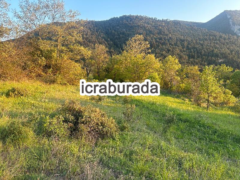 icralık  m2 Tarla Bilecik Gölpazarı Söğütçük