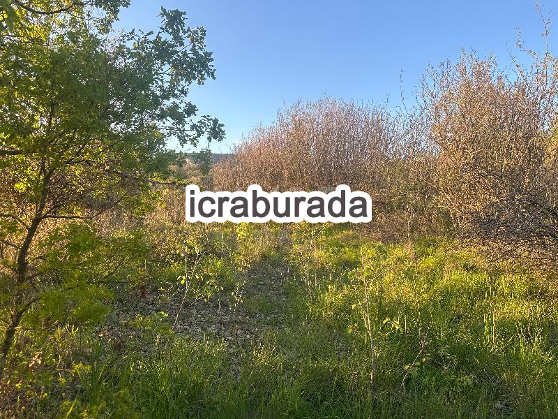 icralık  m2 Tarla Bilecik Gölpazarı Söğütçük