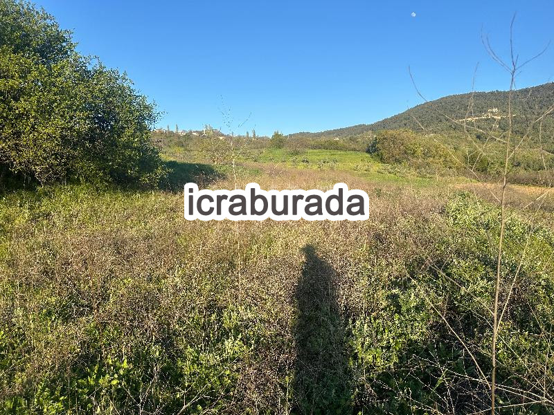 icralık  m2 Tarla Bilecik Gölpazarı Söğütçük