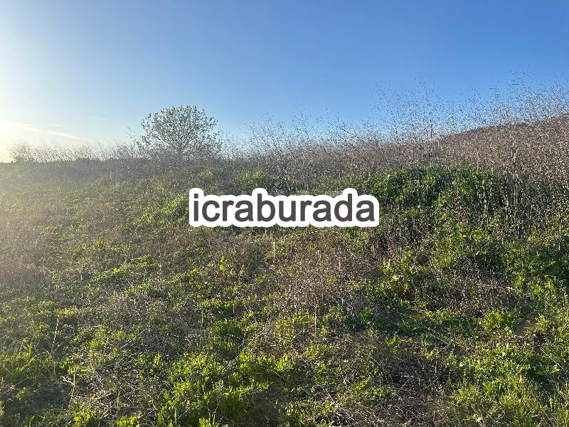icralık  m2 Tarla Bilecik Gölpazarı Söğütçük