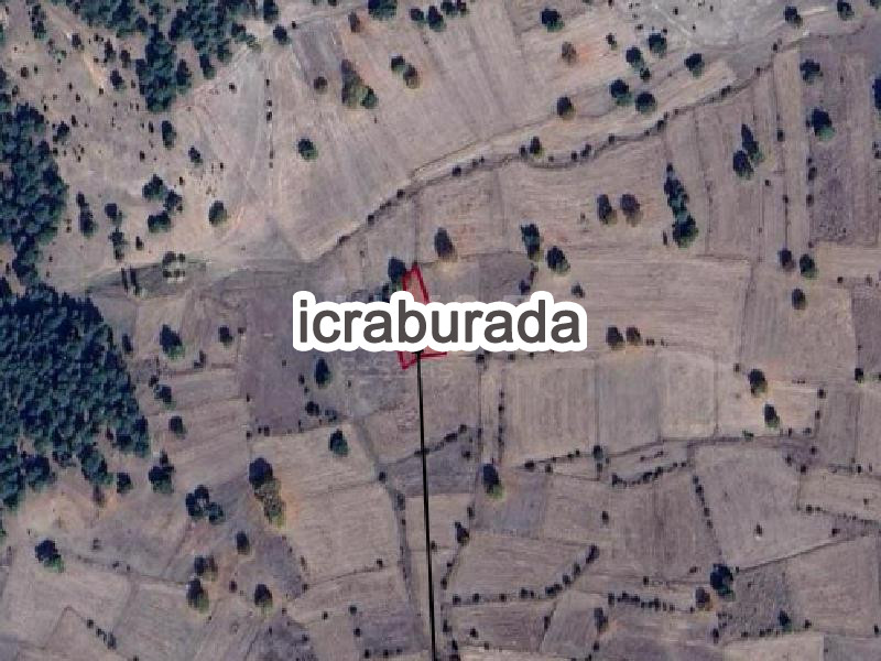 icralık  m2 Tarla Kütahya Merkez Işikkara