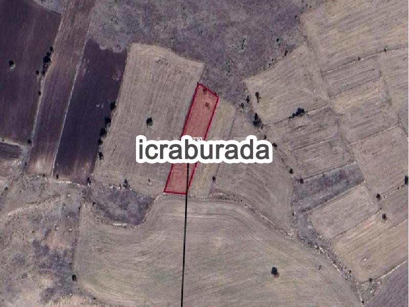 icralık  m2 Tarla Kütahya Merkez Işikkara