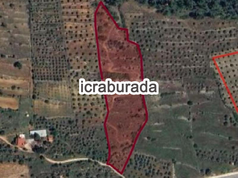 icralık  m2 Tarla Muğla Yatağan Kozağaç