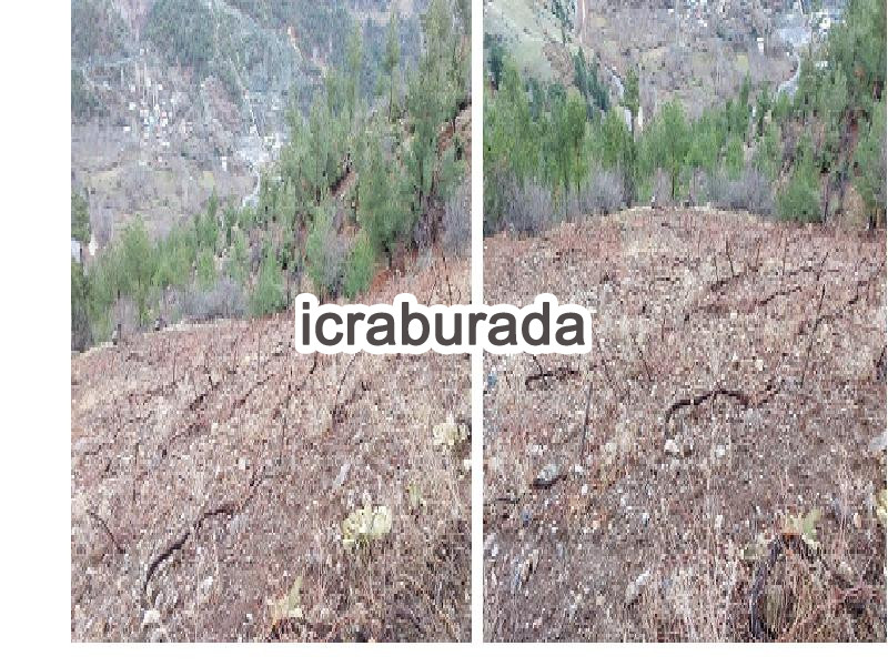 icralık  m2 Tarla Kahramanmaraş Onikişubat Kertmen