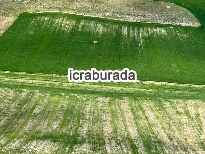 icralık  m2 Tarla Kayseri Develi Çukuryurt