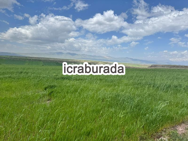 icralık  m2 Tarla Kayseri Develi Çukuryurt