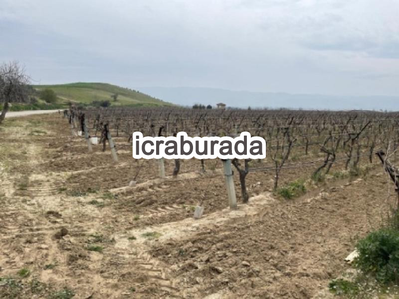icralık  m2 Bag Manisa Sarıgöl Çanakçi