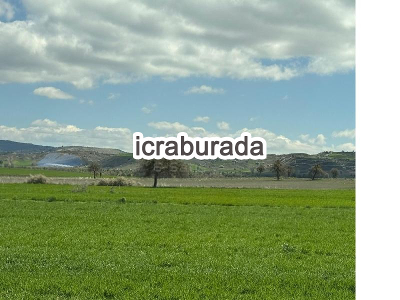 icralık  m2 Tarla Ankara Ayaş Feruz