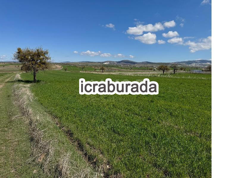 icralık  m2 Tarla Ankara Ayaş Feruz