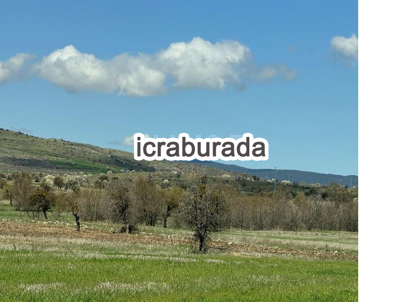 icralık  m2 Tarla Ankara Ayaş Feruz