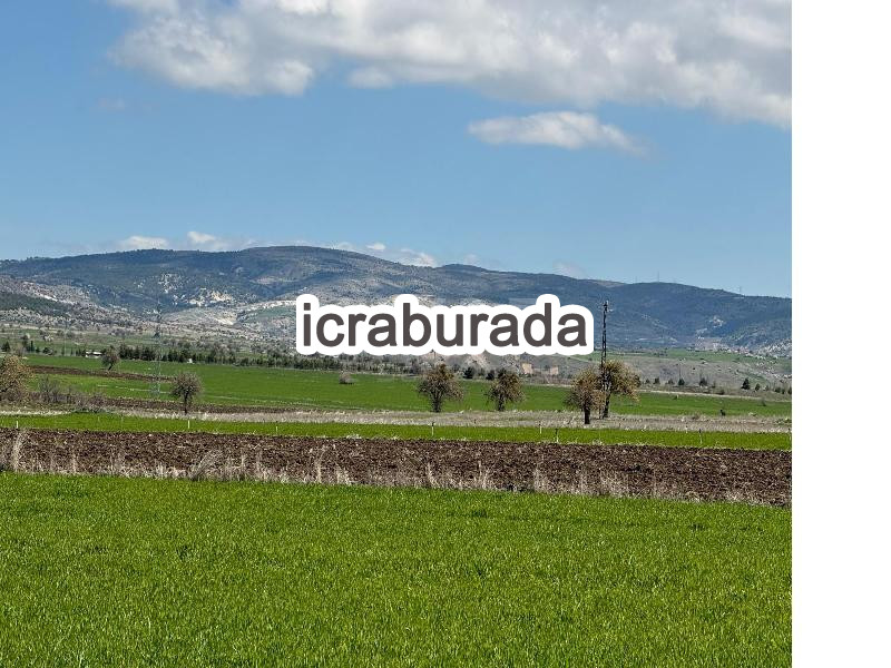 icralık  m2 Tarla Ankara Ayaş Feruz