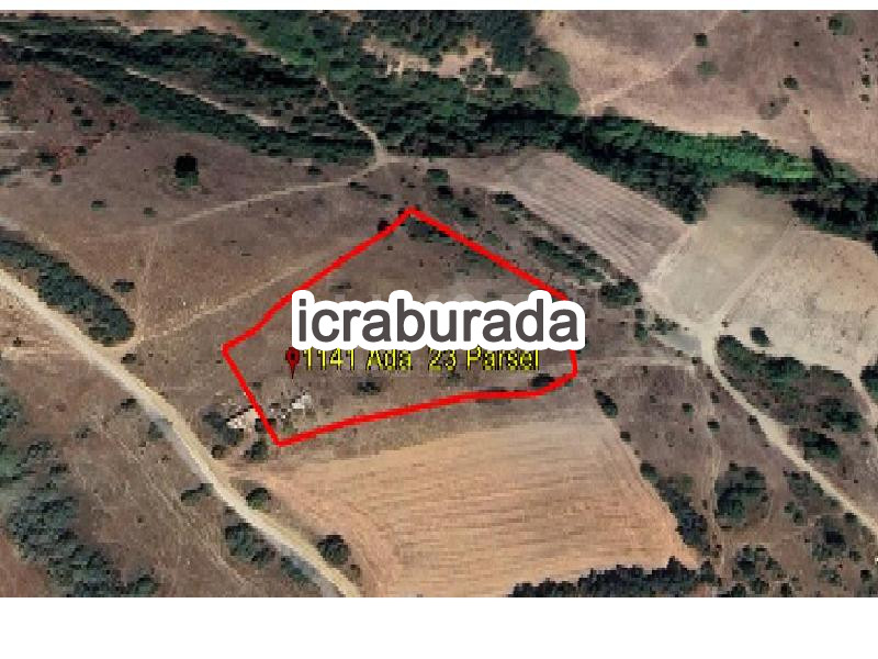 icralık  m2 Tarla Bursa Yenişehir Hamidiye