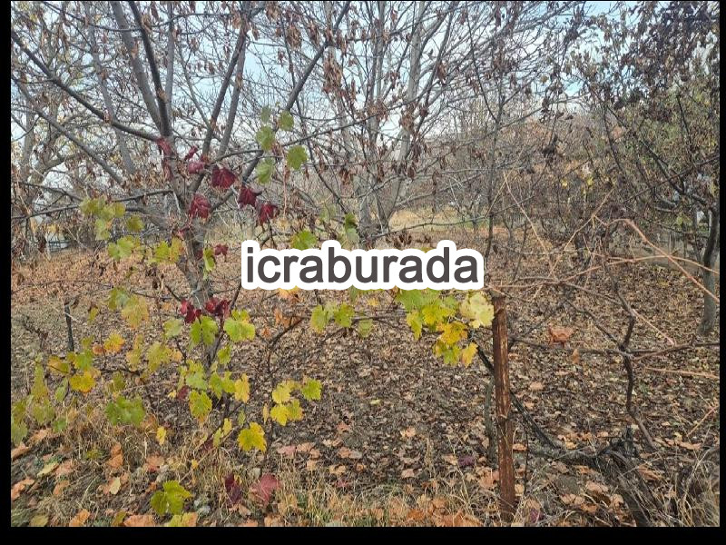 icralık  m2 Tarla Çankırı Eldivan Dere