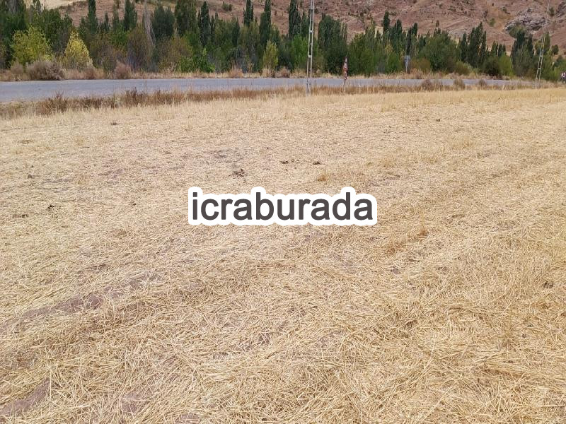 icralık  m2 Tarla Sivas Merkez Çerçideresi