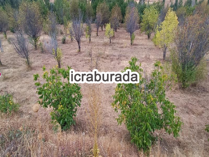 icralık  m2 Tarla Sivas Merkez Çerçideresi