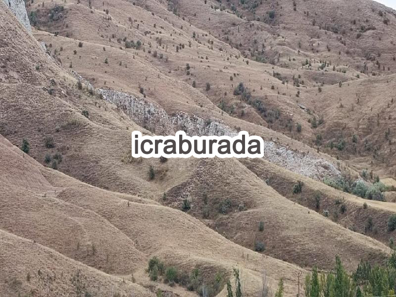 icralık  m2 Tarla Sivas Merkez Çerçideresi
