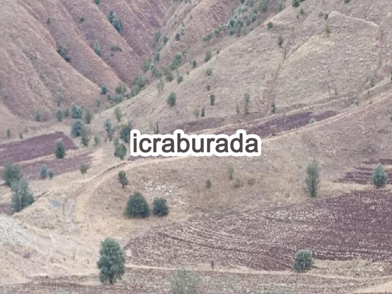 icralık  m2 Tarla Sivas Merkez Çerçideresi