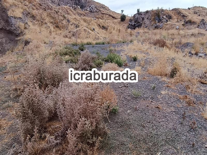 icralık  m2 Diger Sivas Merkez Çerçideresi