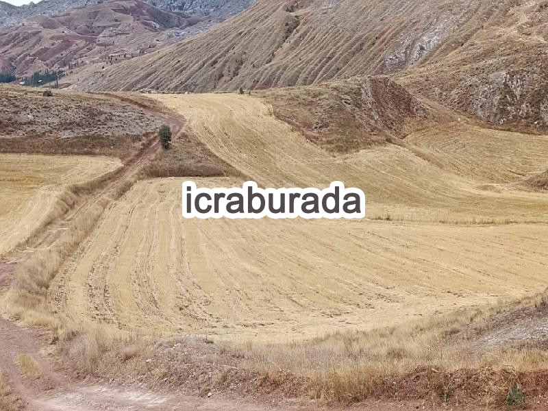 icralık  m2 Tarla Sivas Merkez Çerçideresi