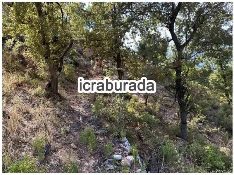 icralık  m2 Tarla Mersin Anamur Anitli