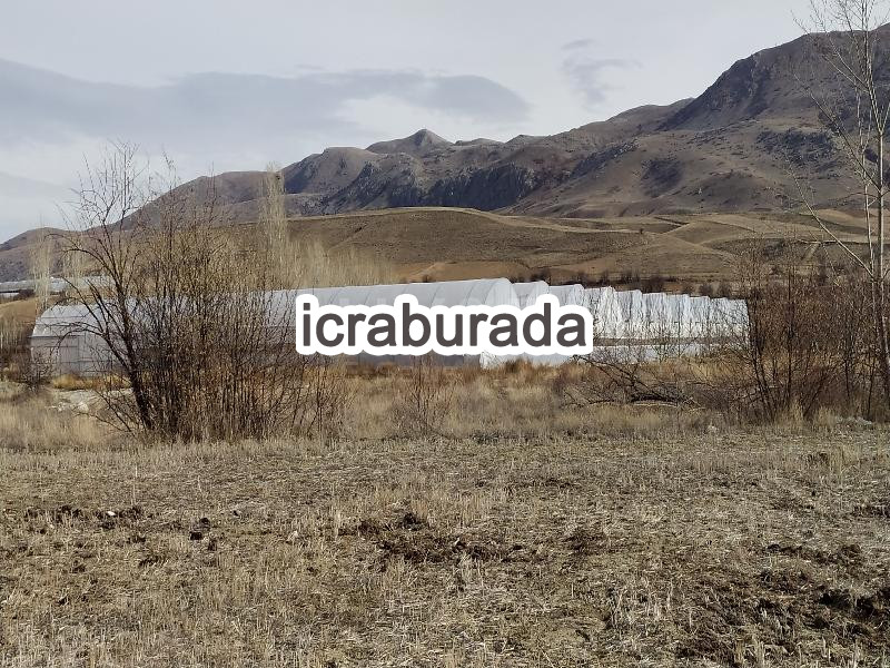 icralık  m2 Tarla Burdur Tefenni Hasanpaşa