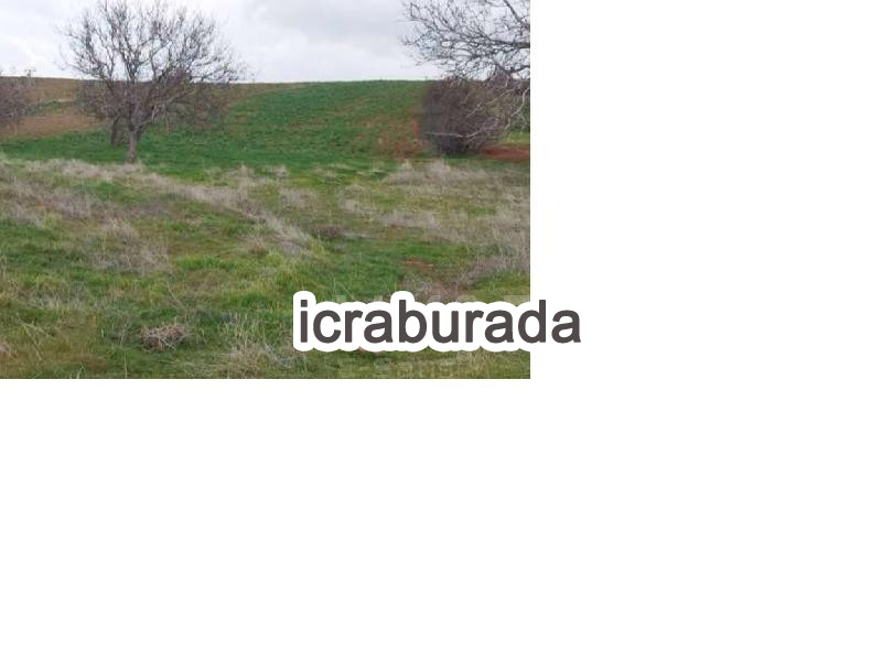 icralık  m2 Bag Ankara Kahramankazan Sancar