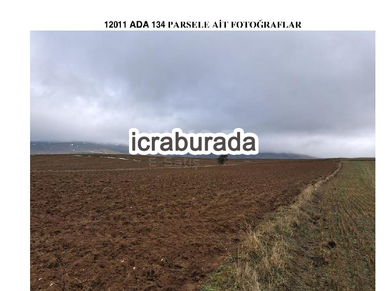 icralık  m2 Tarla Eskişehir Tepebaşı Uludere