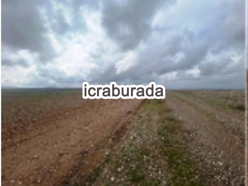icralık  m2 Tarla Konya Meram Kavak