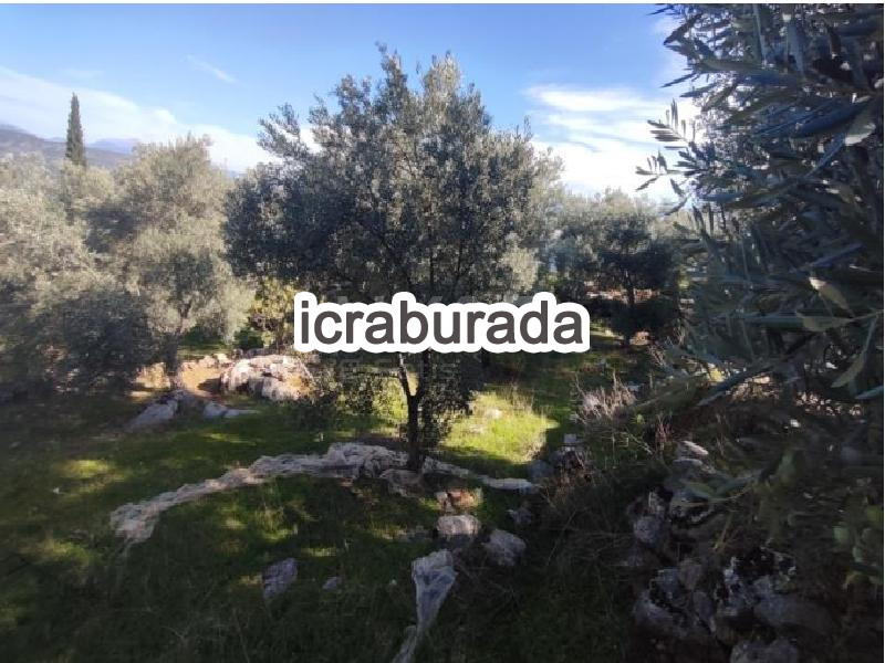 icralık  m2 Tarla Muğla Fethiye Bozyer
