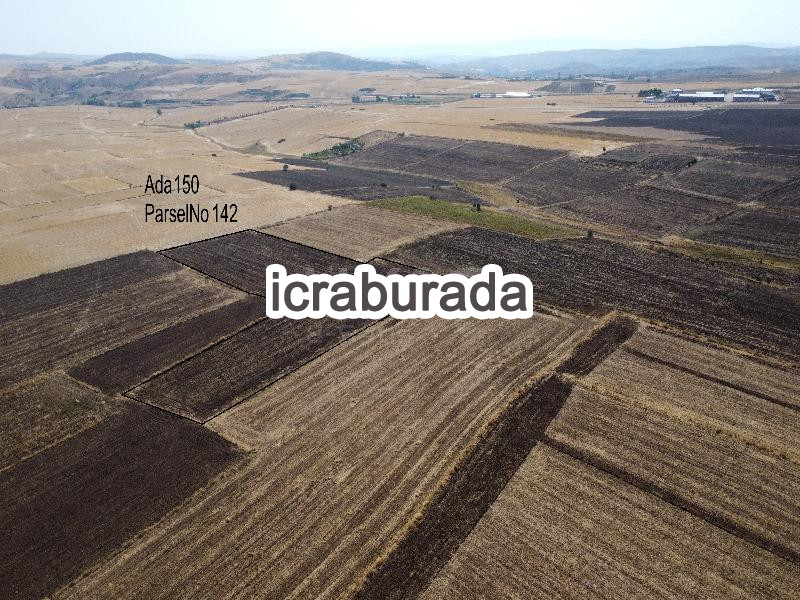 icralık  m2 Tarla Yozgat Merkez Divanli