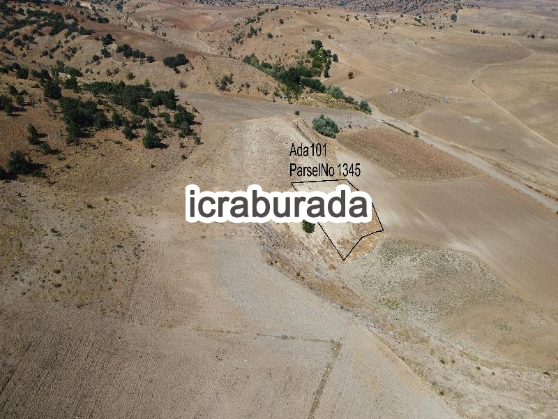 icralık  m2 Bag Yozgat Merkez Divanli