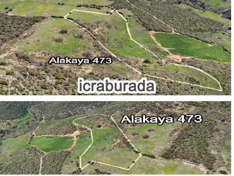 icralık  m2 Tarla Bursa İznik Alakaya